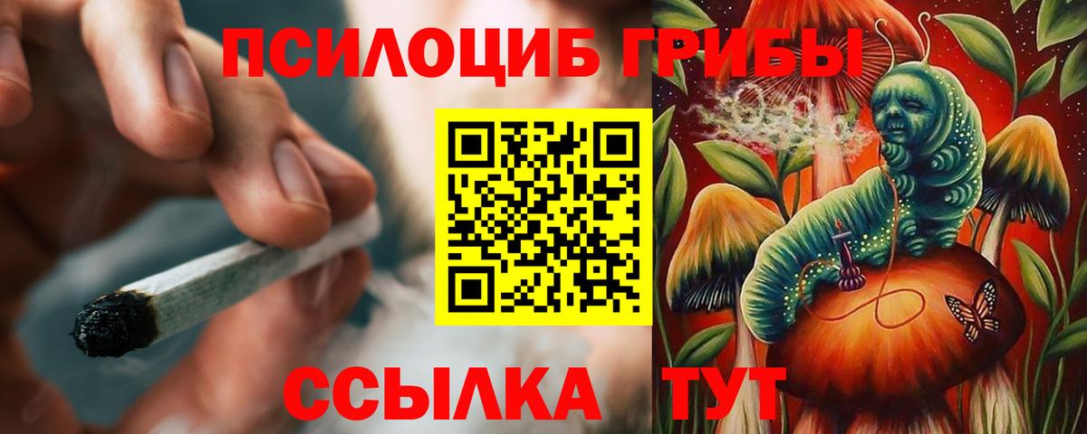 Котельники  Галлюциногенные грибы MAGIC MUSHROOMS  дарнет шоп  Вход с VPN 